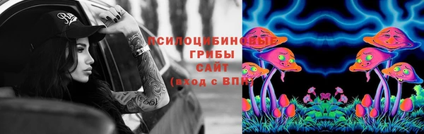 мяу мяу мука Абаза