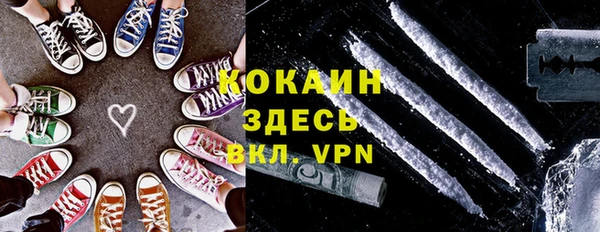 крисы Козельск