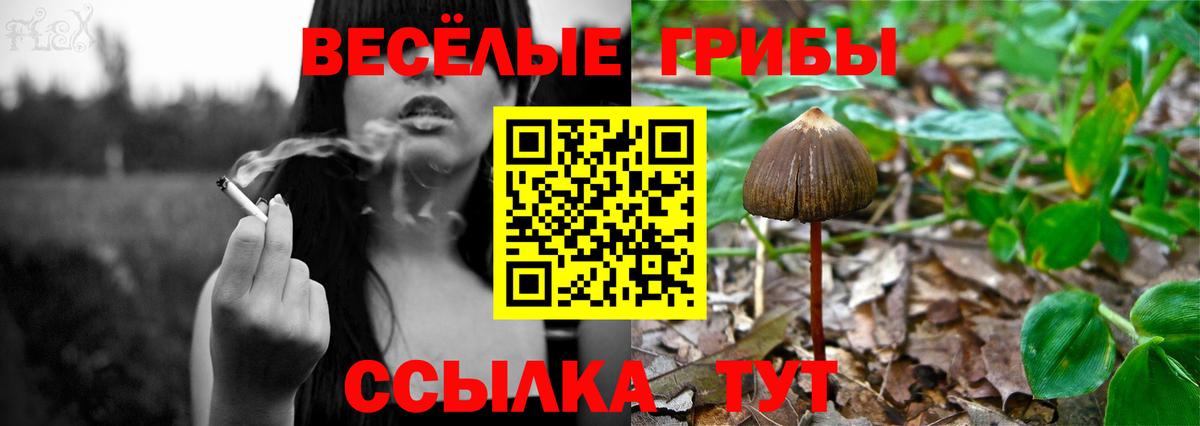 дарнет шоп  Вход с VPN  Карталы  Галлюциногенные грибы мухоморы 