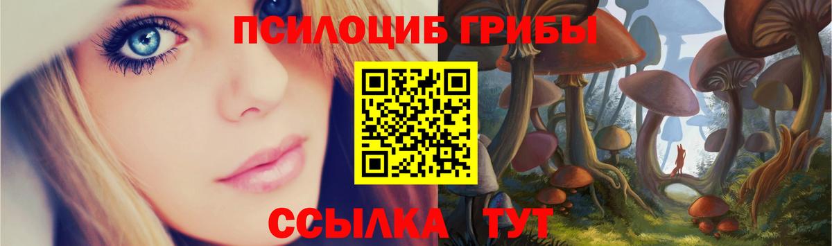 Псилоцибиновые грибы мицелий Карталы